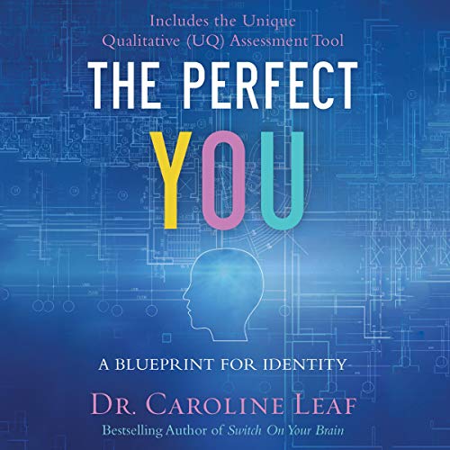 Cover of The Perfect You