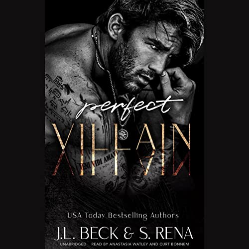 Cover of Perfect Villain
