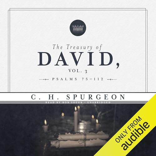 Cover of The Treasury of David, Volume 3