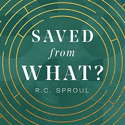 Cover of Saved from What?