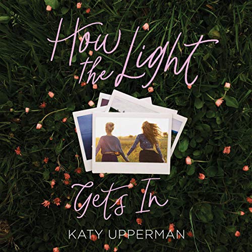 Cover of How the Light Gets In