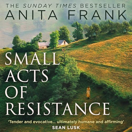 Cover of Small Acts of Resistance