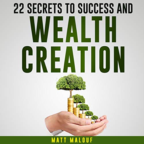 Cover of 22 Secrets to Success and Wealth Creation