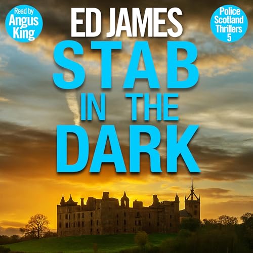 Cover of Stab in the Dark