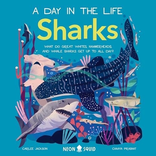 Cover of Sharks (A Day in the Life)