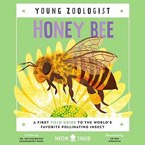 Cover of Honey Bee (Young Zoologist)