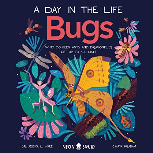Cover of Bugs (A Day in the Life)