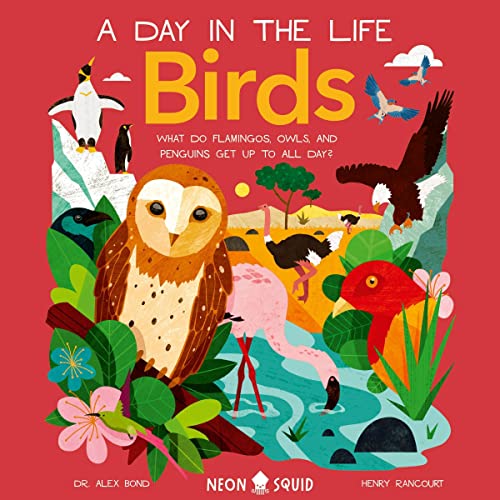 Cover of Birds (A Day in the Life)