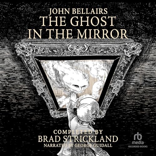 Cover of The Ghost in the Mirror
