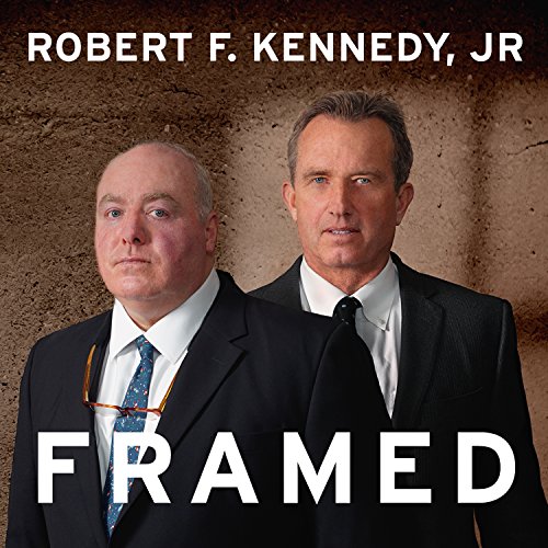 Cover of Framed