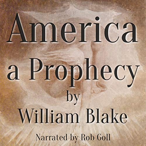 Cover of America a Prophecy