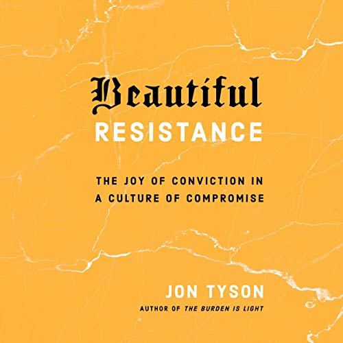 Cover of Beautiful Resistance