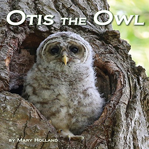 Cover of Otis the Owl