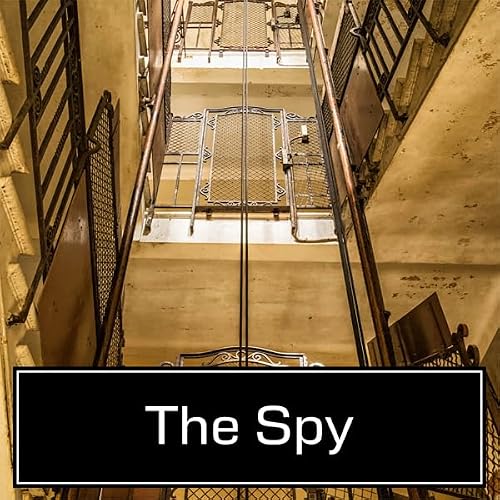 Cover of The Spy
