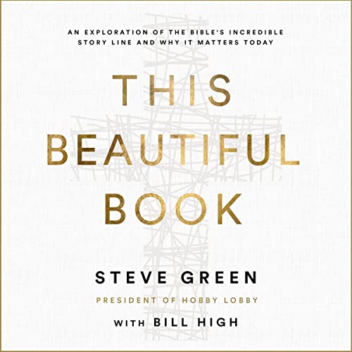Cover of This Beautiful Book