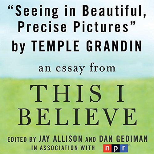 Cover of Seeing in Beautiful, Precise Pictures