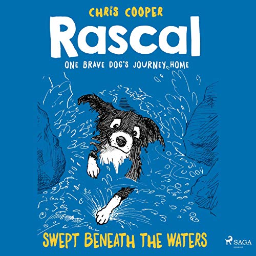 Cover of Swept Beneath the Waters