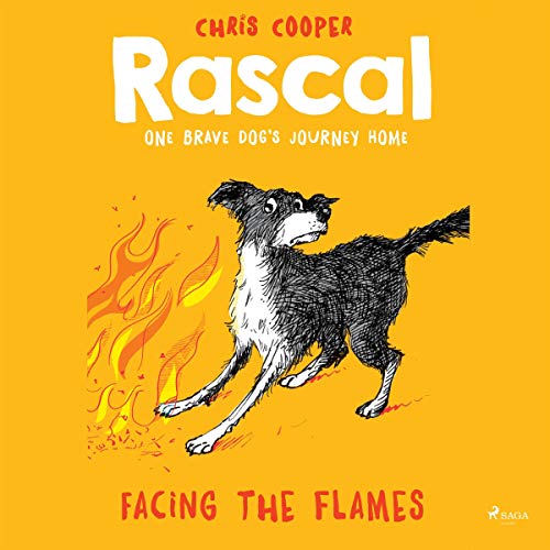 Cover of Facing the Flames
