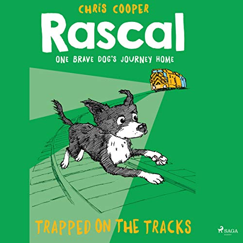 Cover of Trapped on the Tracks