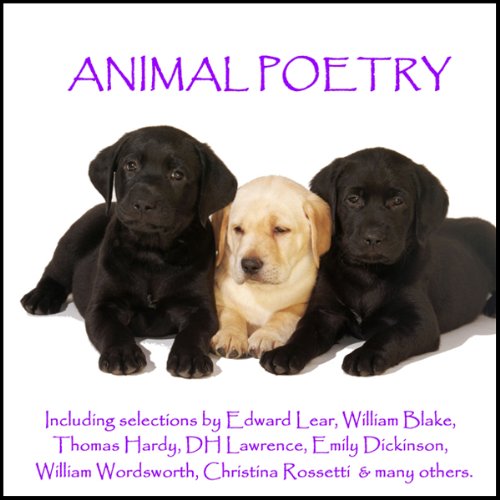 Cover of Animal Poetry