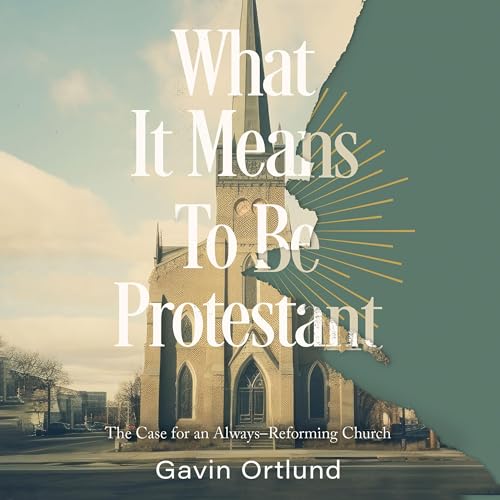 Cover of What It Means to Be Protestant