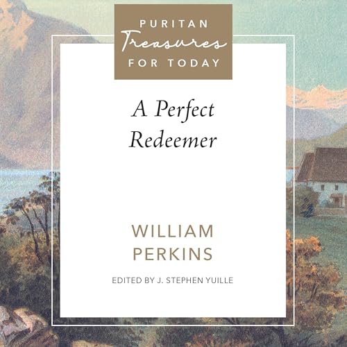 Cover of A Perfect Redeemer