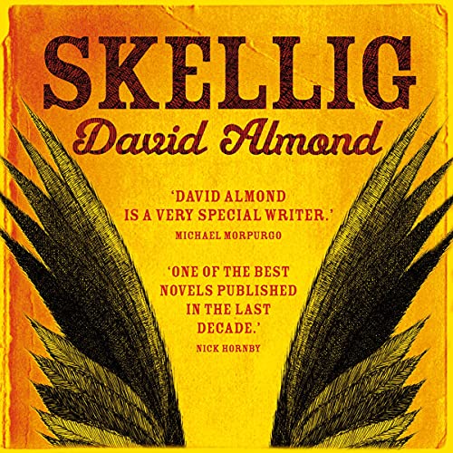 Cover of Skellig