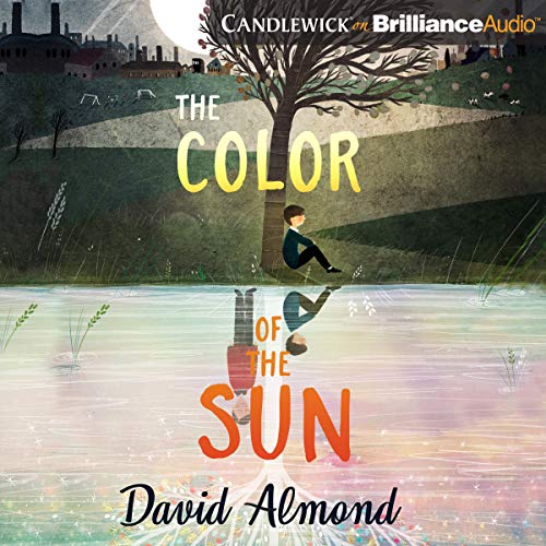 Cover of The Color of the Sun