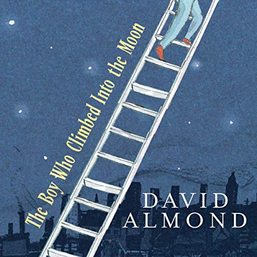 Cover of The Boy Who Climbed into the Moon