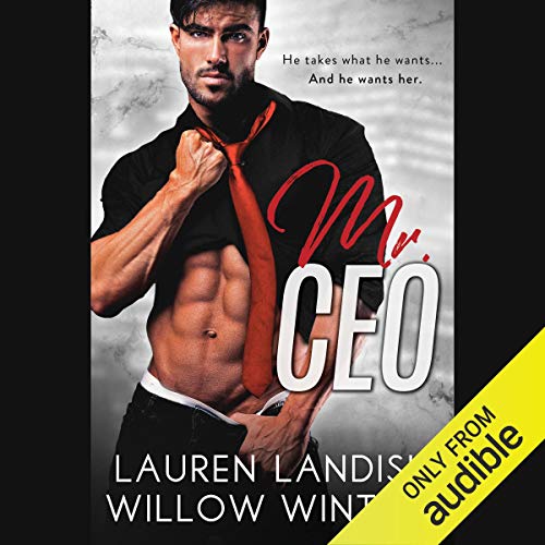 Cover of Mr. CEO