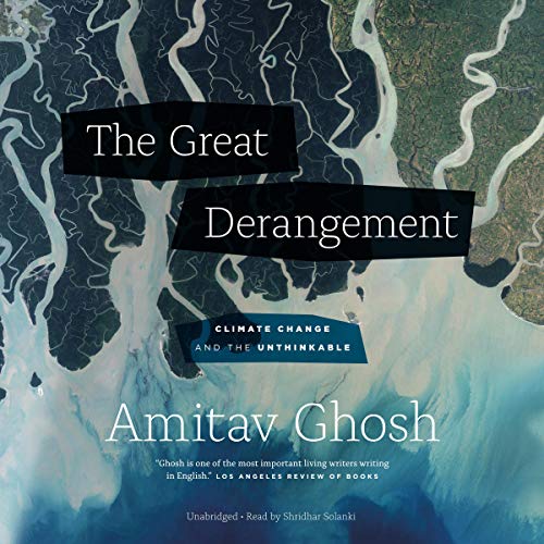Cover of The Great Derangement