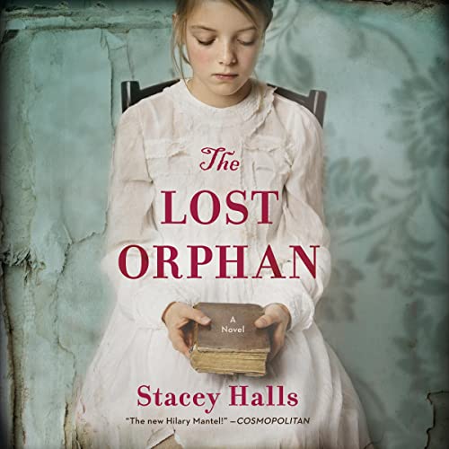 Cover of The Lost Orphan