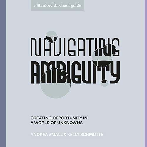 Cover of Navigating Ambiguity