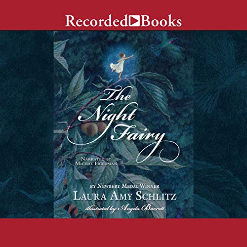 Cover of The Night Fairy