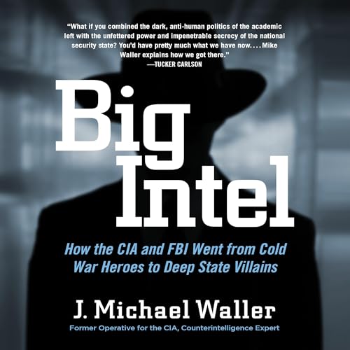 Cover of Big Intel