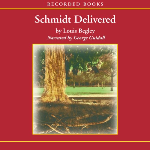 Cover of Schmidt Delivered