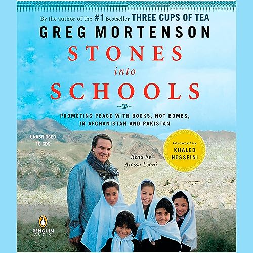 Cover of Stones into Schools