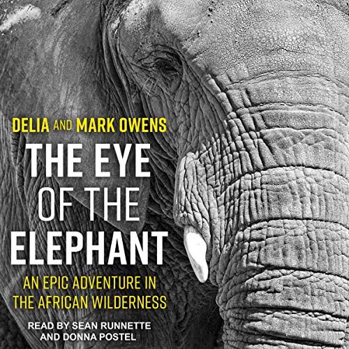 Cover of The Eye of the Elephant