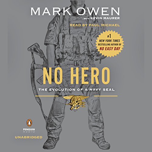 Cover of No Hero