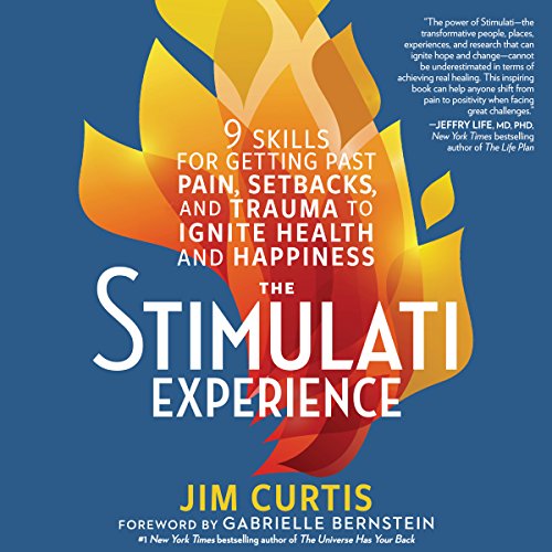 Cover of The Stimulati Experience