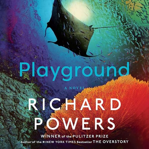 Cover of Playground