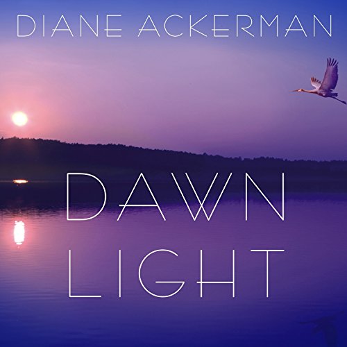 Cover of Dawn Light