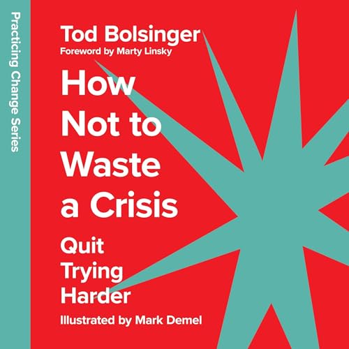 Cover of How Not to Waste a Crisis - Quit Trying Harder