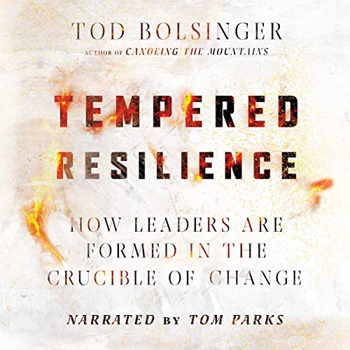 Cover of Tempered Resilience