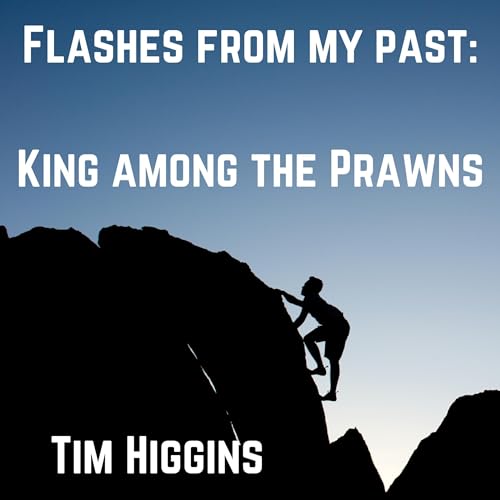 Cover of Flashes from My Past