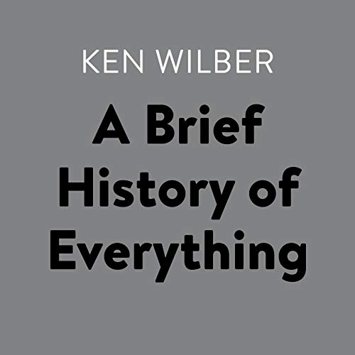 Cover of A Brief History of Everything