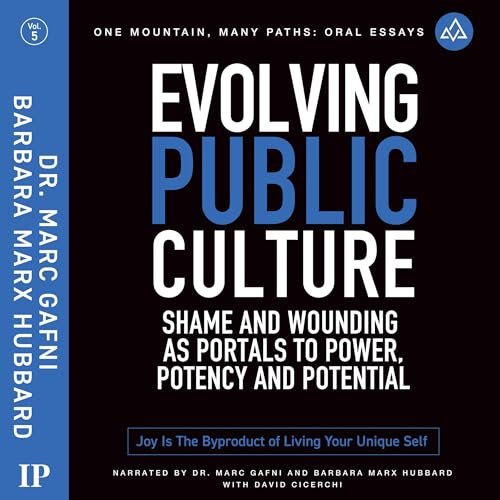 Cover of Evolving Public Culture
