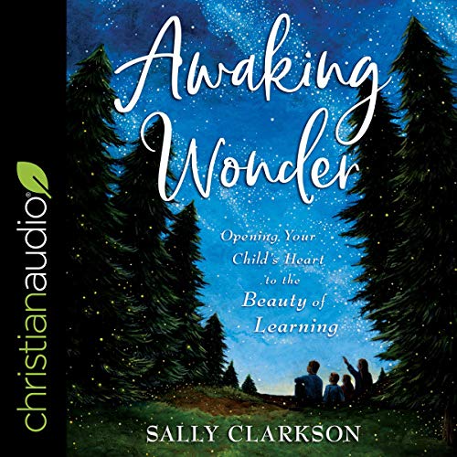 Cover of Awaking Wonder