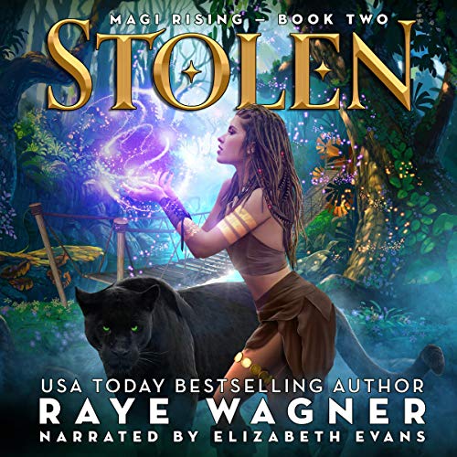 Cover of Stolen