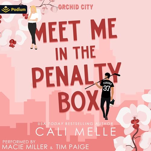 Cover of Meet Me in the Penalty Box